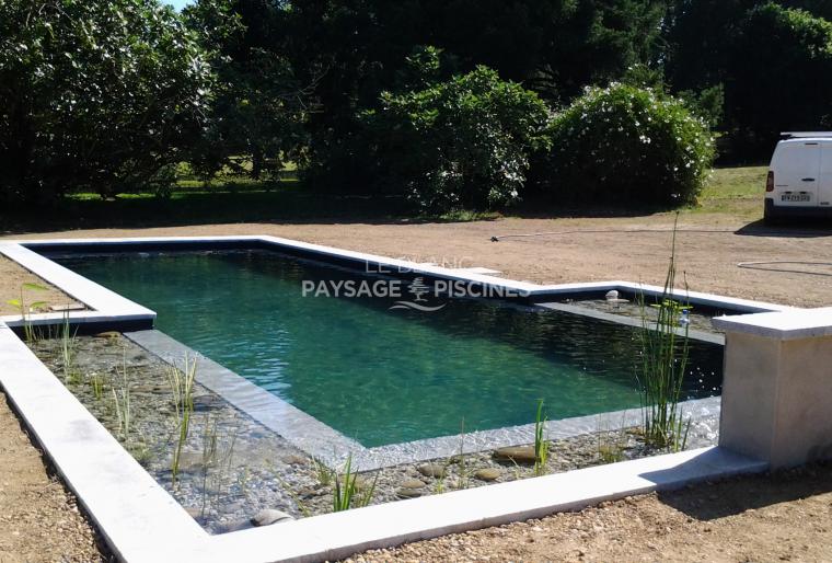 PISCINE NATURELLE 12 x 4m AVEC LAGUNE